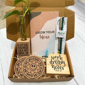 eco friendly gifts