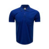 Polo T-Shirt for Corporate in Delhi Polo T-Shirt for Corporate in Delhi