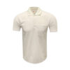 Polo T-Shirt for Corporate in Delhi NCR Polo T-Shirt for Corporate in Delhi NCR