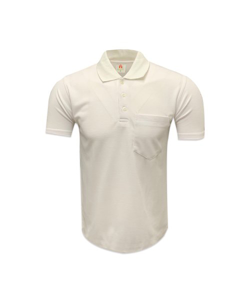 Polo T-Shirt for Corporate in Delhi NCR