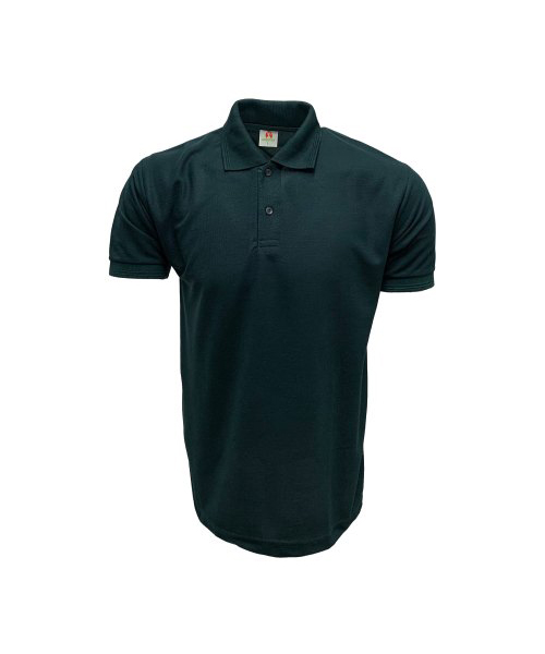 polo t shirt for corporate delhi