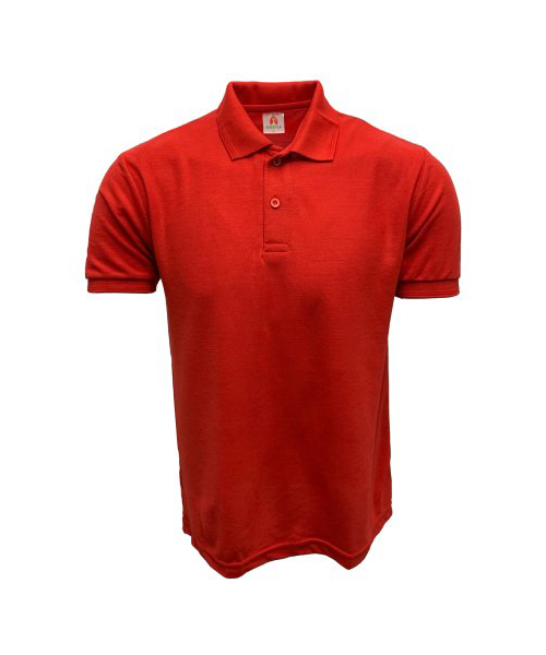 polo t shirt for corporate in delhi