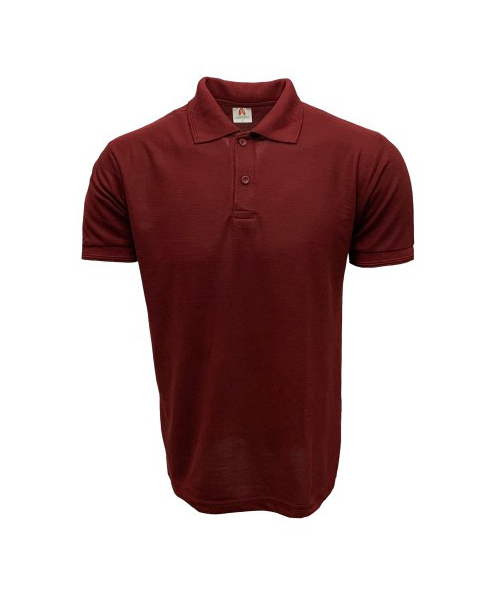 polo t shirt for corporate in noida