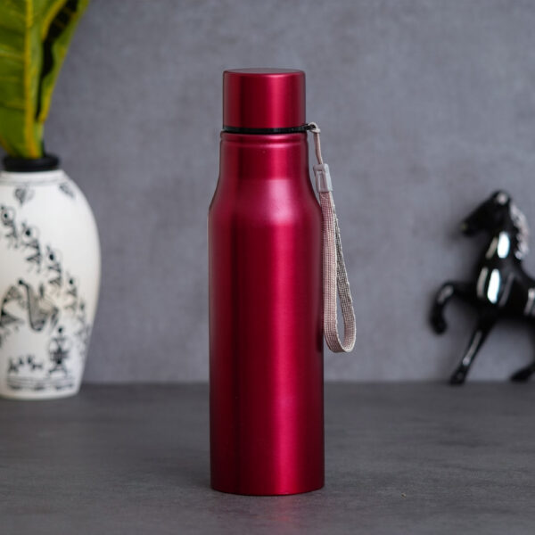 stainless steel bottle (750ml) for corporate gifting