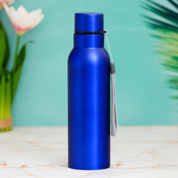 stainless steel bottle (750ml) for corporate gifting