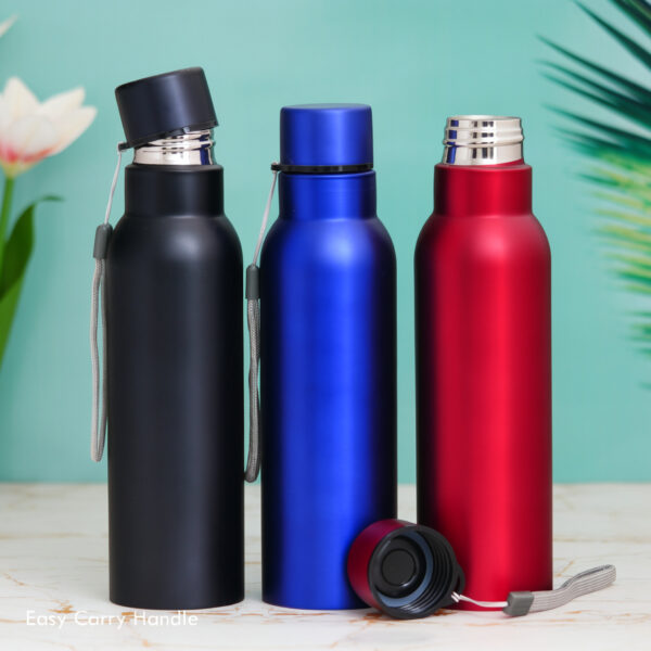 Stainless Steel Bottle (750ml) Stainless Steel Bottle in Delhi NCR