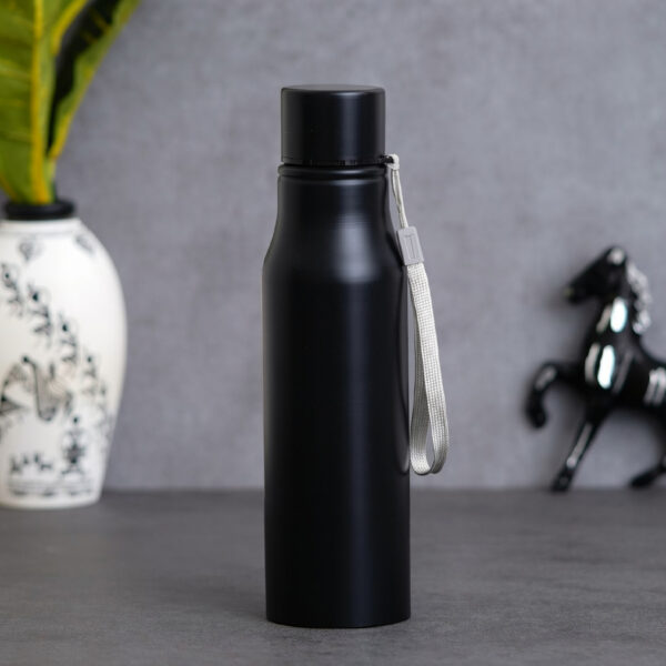 stainless steel bottle (750ml) for corporate gifting
