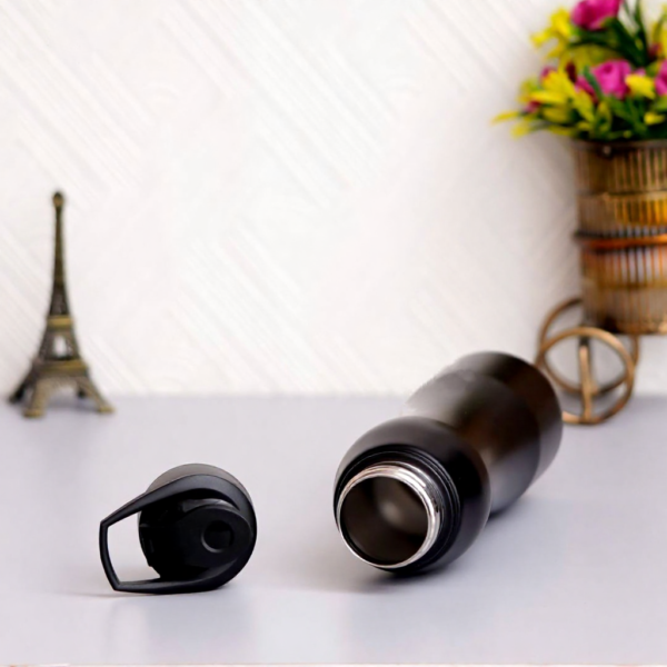 stainless steel bottle