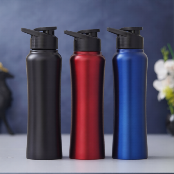 Stainless Steel Bottle (750ml) stainless steel bottle Delhi