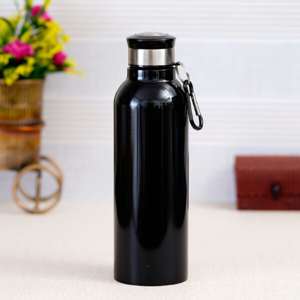 stainless steel bottle (750ml) (copy)