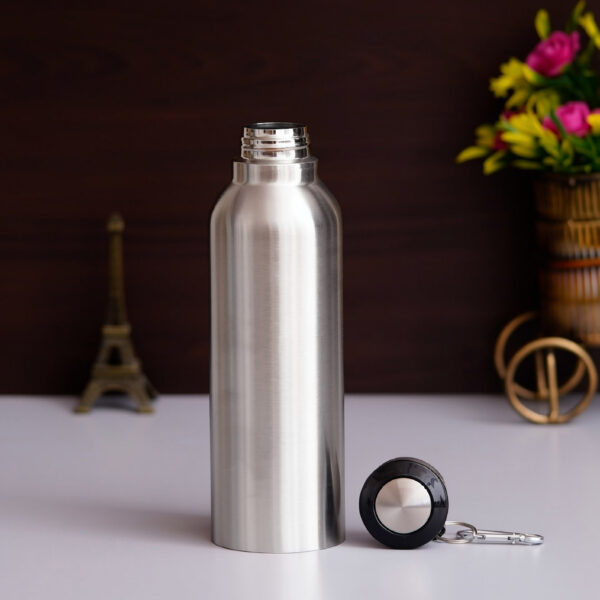 stainless steel bottle (750ml) (copy)