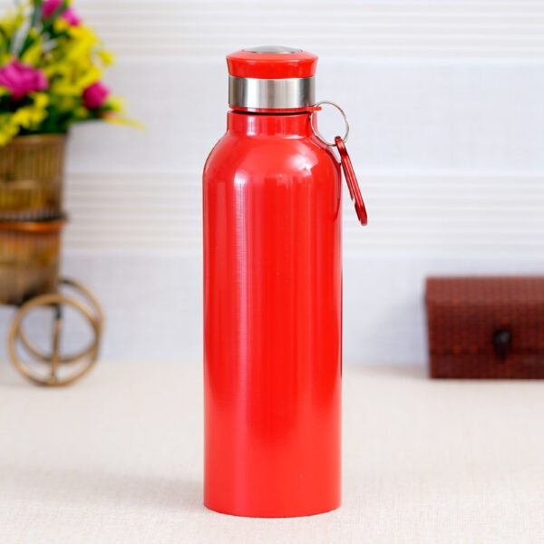 stainless steel bottle (750ml) (copy)