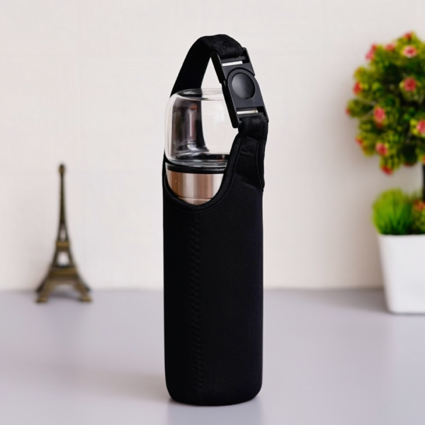 borosilicate glass double wall tea infuser bottle
