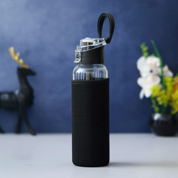 Borosilicate Glass Water Bottle in India