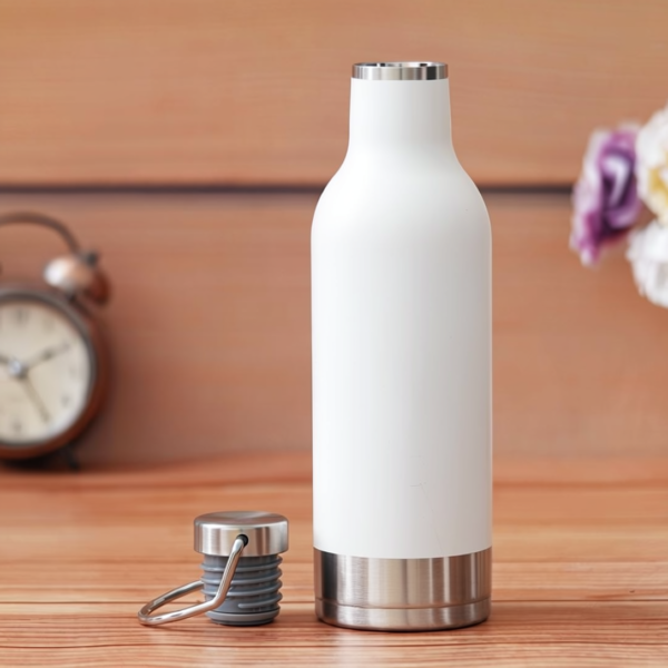 hot & cold bottle (copy)