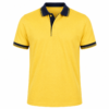 collor t shirts bulk in delhi noida gurugram collor t shirts bulk in delhi noida gurugram