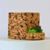 branded eco desk kits delhi branded eco desk kits delhi