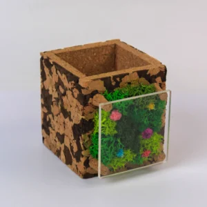 branded eco friendly desk products