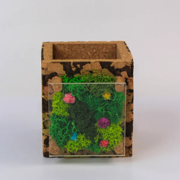 branded eco friendly desk products