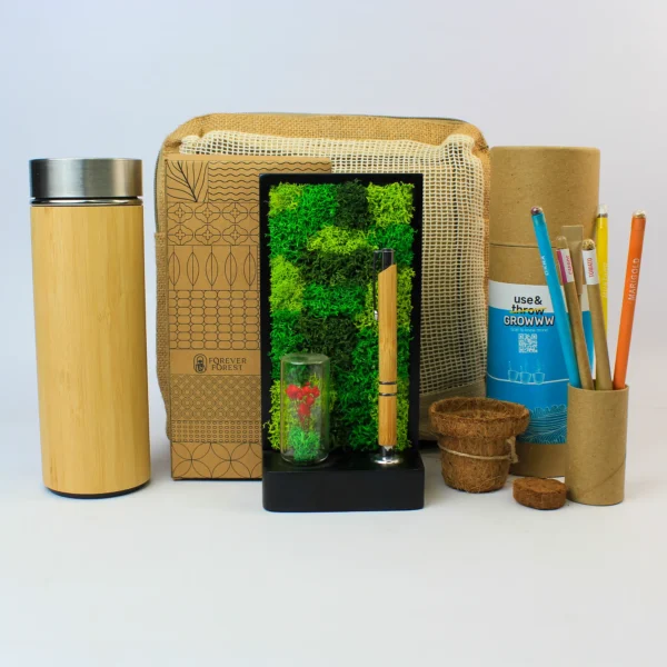 Bulk Eco Friendly Diwali Gifts for Employees in Noida India