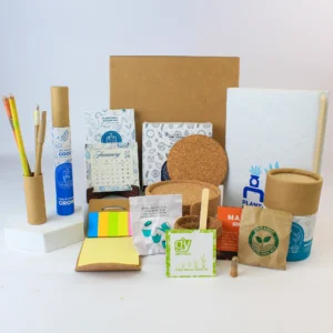 Bulk Eco Friendly New Year Gifts