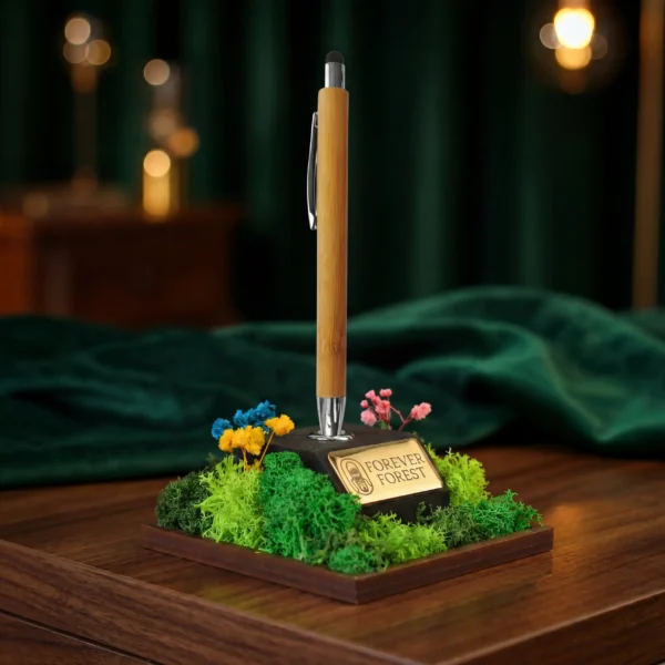 buy eco friendly desk accessories in delhi