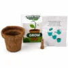 corporate plant gifts in gurugram corporate plant gifts in gurugram