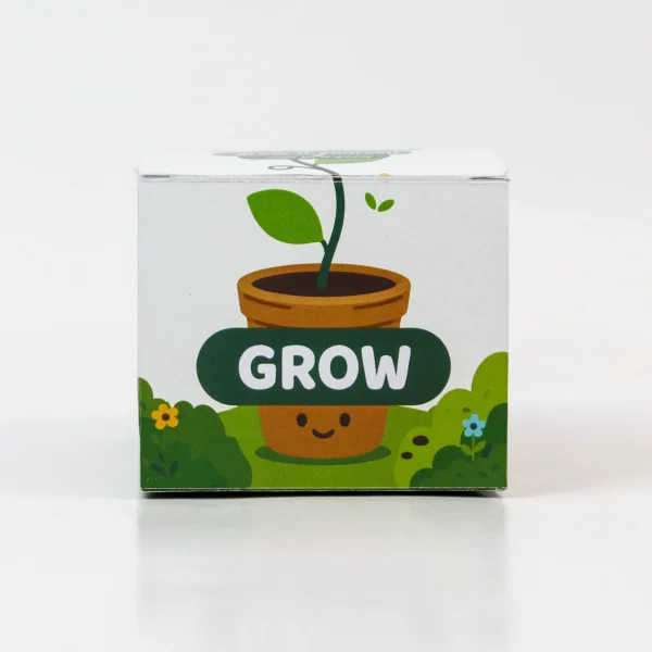 corporate plant gifts in gurugram