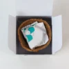 corporate plant gifts in gurugram corporate plant gifts in gurugram