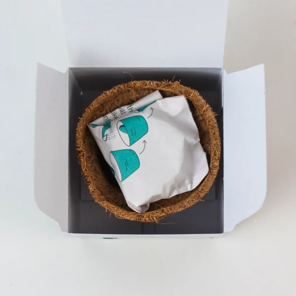 corporate plant gifts in gurugram