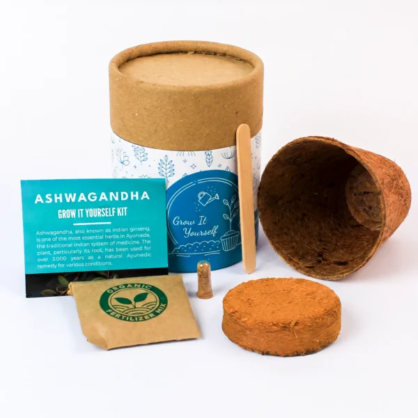 Corporate Plant Gifts corporate plant gifts in noida