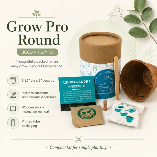 corporate plant gifts in noida