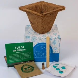 eco friendly desk planters in delhi