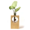 eco friendly desk planters in gurugram eco friendly desk planters in gurugram