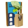 eco friendly desk planters in gurugram eco friendly desk planters in gurugram