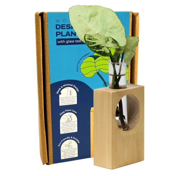 eco friendly desk planters in gurugram