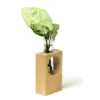 eco friendly desk planters in gurugram eco friendly desk planters in gurugram