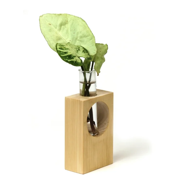 eco friendly desk planters in gurugram
