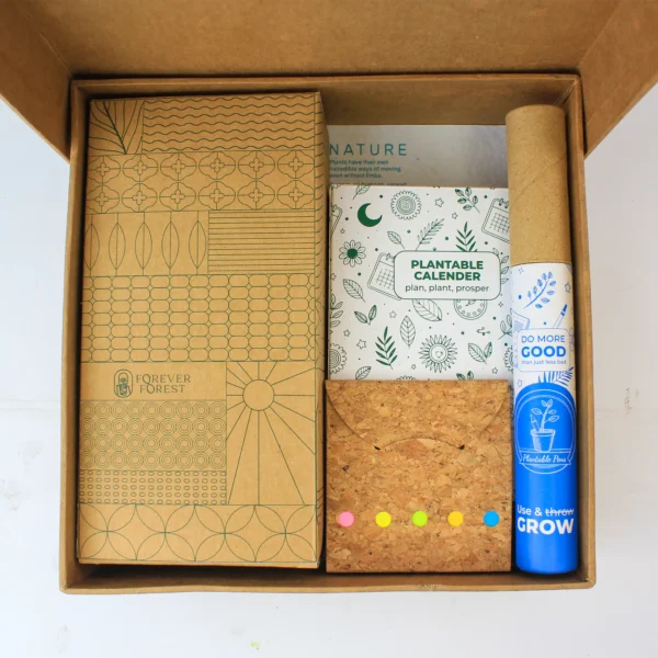 Eco Friendly Gift Boxes for New Year in Delhi NCR