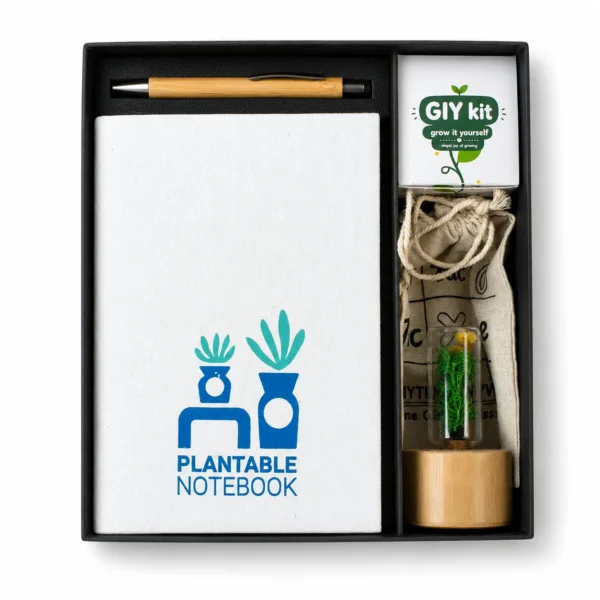 Eco Friendly New Year Gift Kits in Delhi NCR