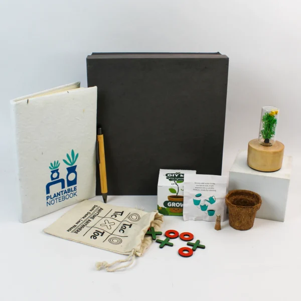 Eco Friendly New Year Gift Kits in Delhi Noida Gurugram