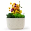 eco friendly planters in delhi eco friendly planters in delhi