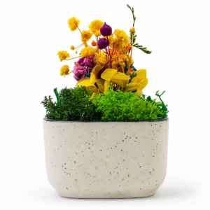 eco friendly planters in delhi