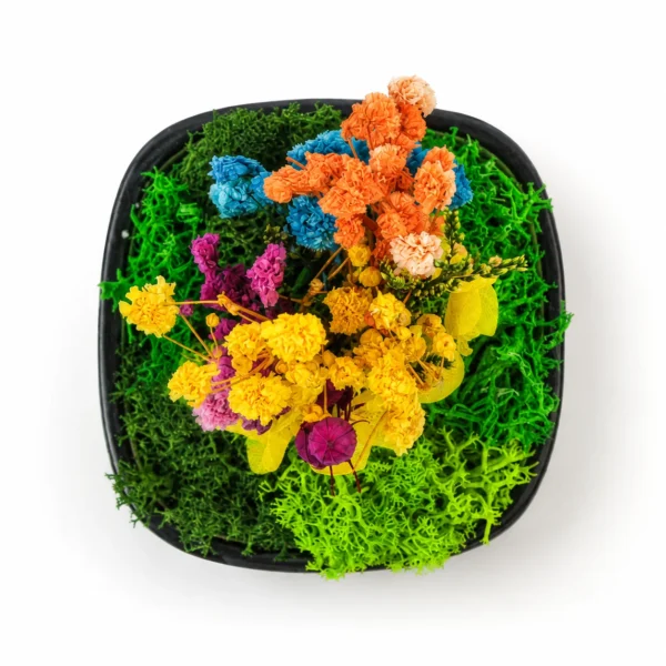 eco friendly planters in delhi