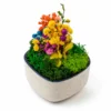 eco friendly planters in delhi eco friendly planters in delhi