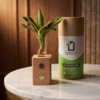eco friendly planters in gurugram eco friendly planters in gurugram