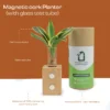 eco friendly planters in gurugram eco friendly planters in gurugram