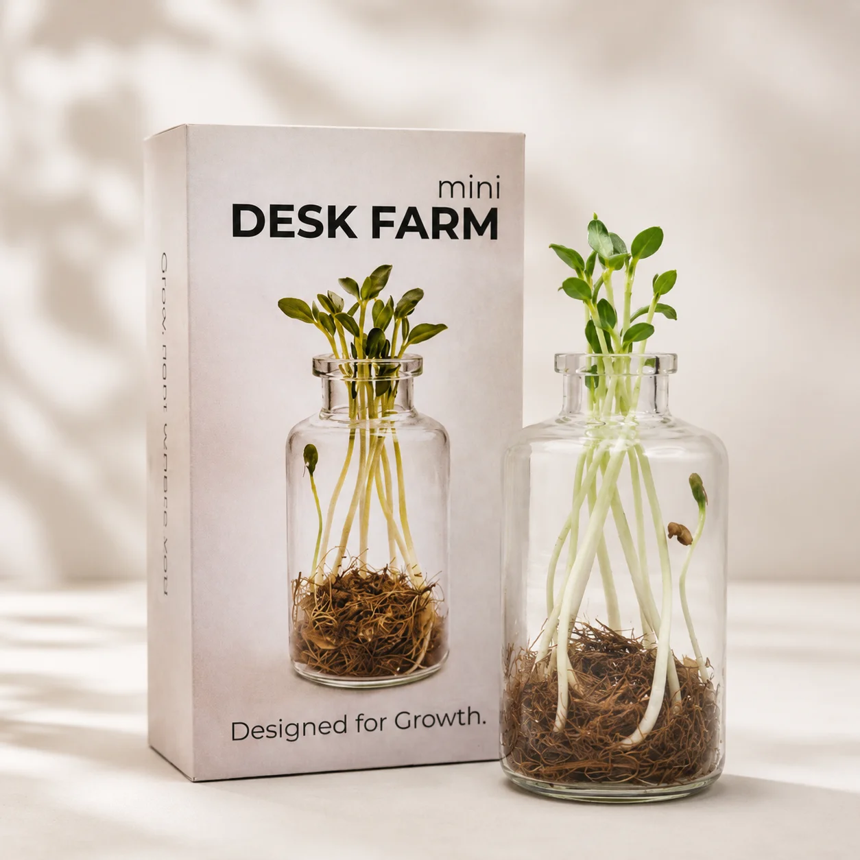 Microgreen plant cultivation kit for office desk gifts