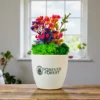 planters as corporate gifts in delhi planters as corporate gifts in delhi