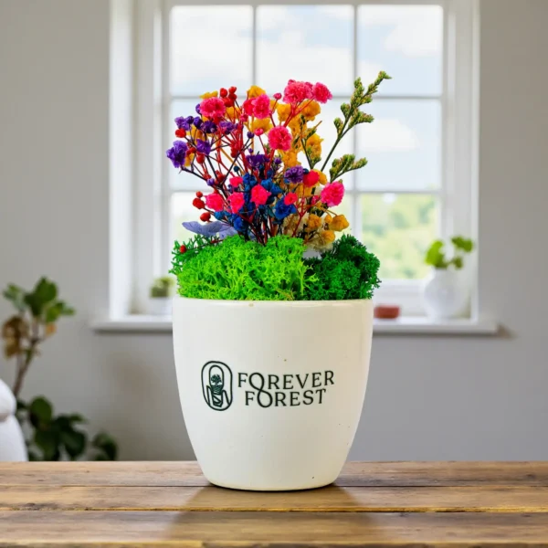 planters as corporate gifts in delhi